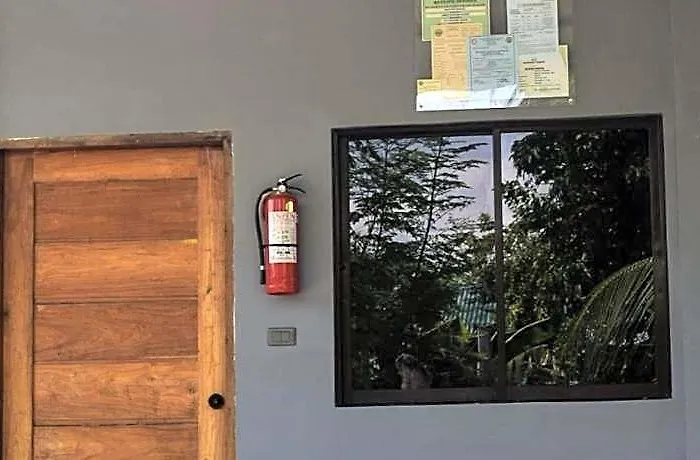 The Backyard 莫阿尔博阿